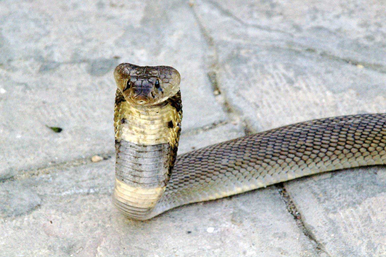 the sacred vip tour, egypt gallery