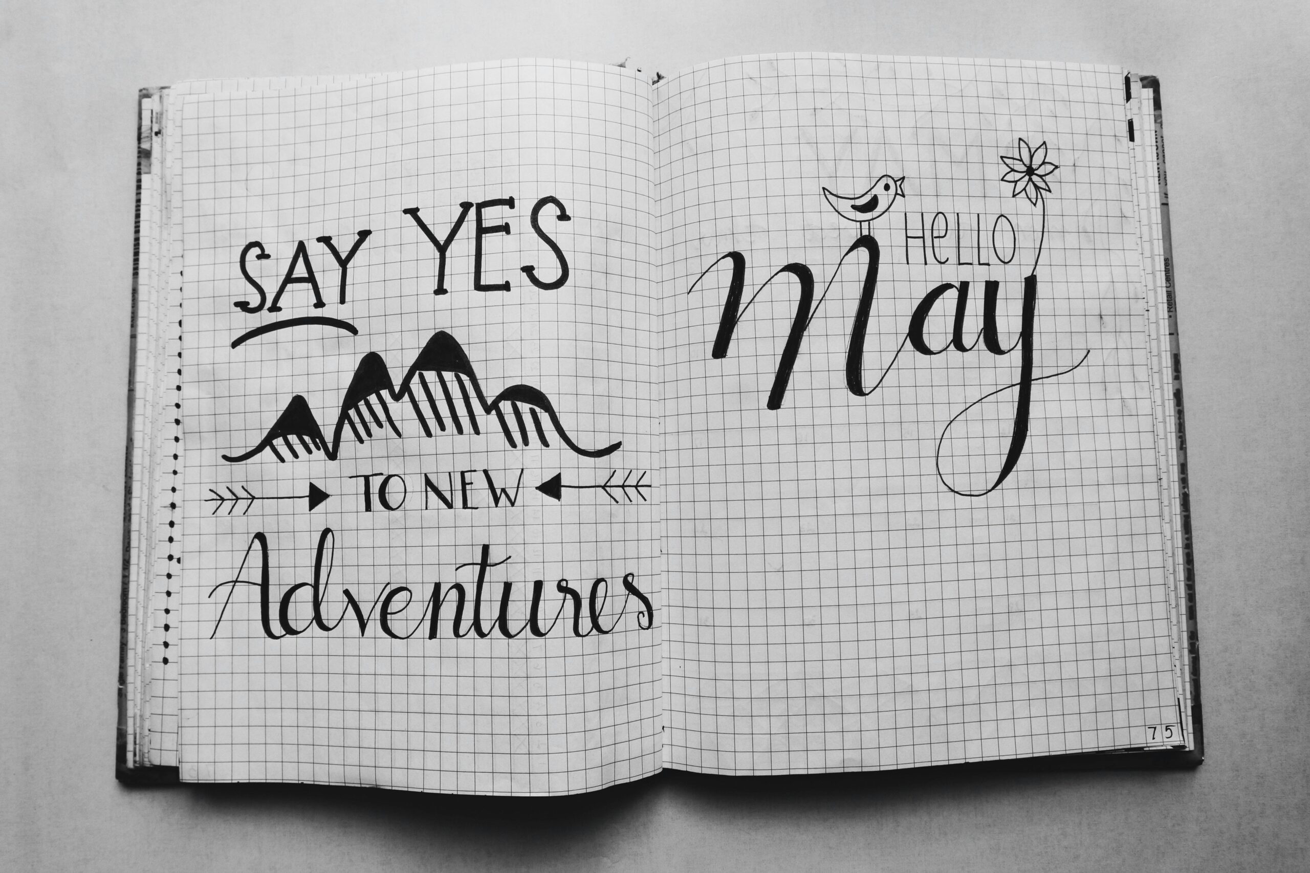 New Adventures